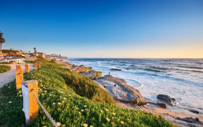 Things To Do In San Diego, CA With Your Kids